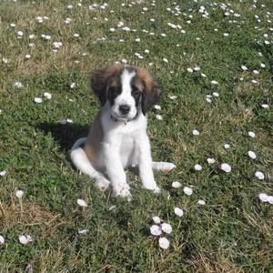 Meet your Posher, Johnathan